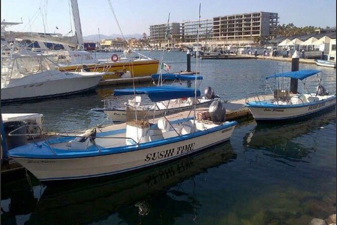 Private Half-Day Sport Fishing in Los Cabos - What a private Cabo panga trip really feels like