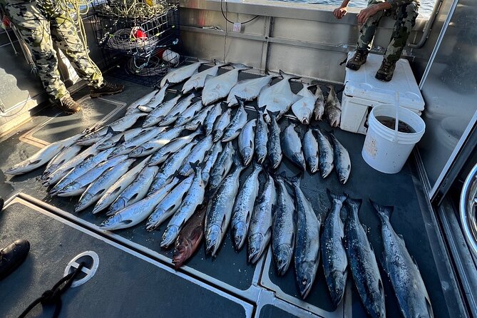 Private Ketchikan Halibut and Salmon Fishing Charter - Gear is included, but licenses are not