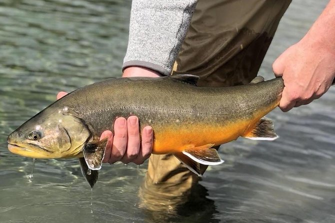 Private Lake and River Fishing Tour from Reykjavik - A fishing day with more than a standard Golden Circle stop