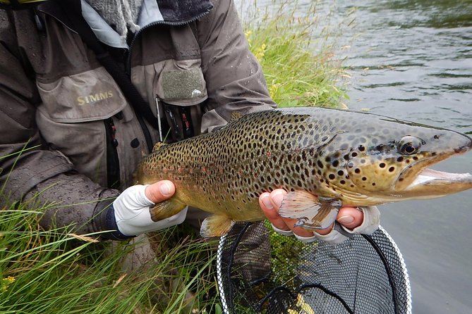 Private Lake and River Fishing Tour from Reykjavik - How the day fits different kinds of anglers