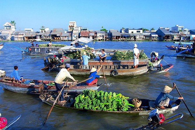 PRIVATE LUXURY Mekong 1 Day with Biking, Fishing, Cooking Class & BBQ LUNCH - The bee farm and Southern Vietnamese music