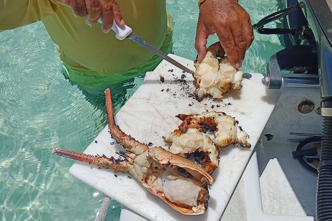 Private Snorkeling And Fishing Activity - Fishing for snapper, trigger fish, lobster, or grouper