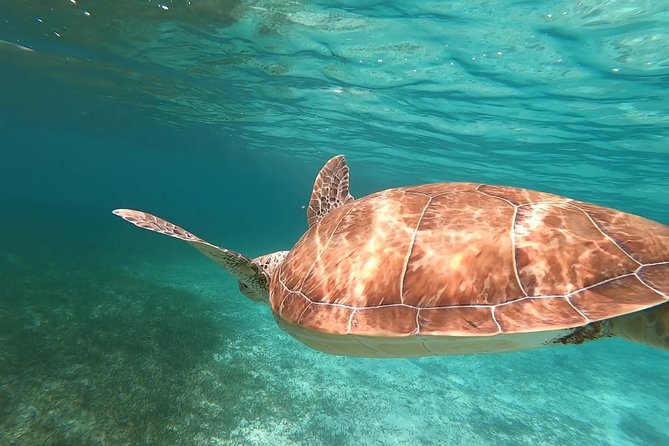 Private Snorkeling or Fishing in Nassau - 55ft Cocorijo - Is $1,650 a good value?