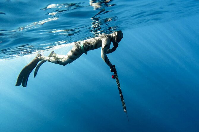 Private Spearfishing Trip From Athens - From Athens hotel to Greek port