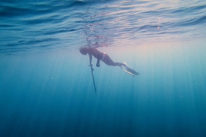 Private Spearfishing Trip From Athens - Why the private format changes the value
