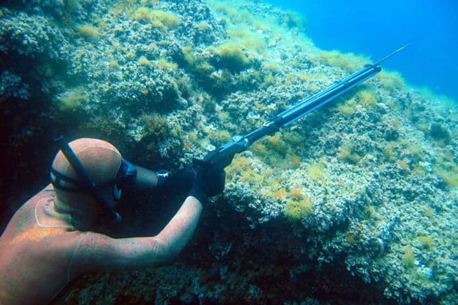 Private Spearfishing Trip From Athens - Safety instructions before the water