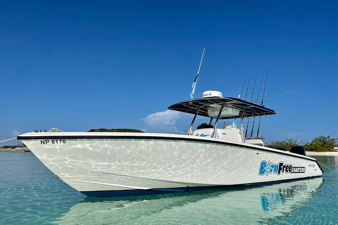 Private Speed Boat for Snorkeling or Fishing in Nassau - 34ft - Key points to know before you book