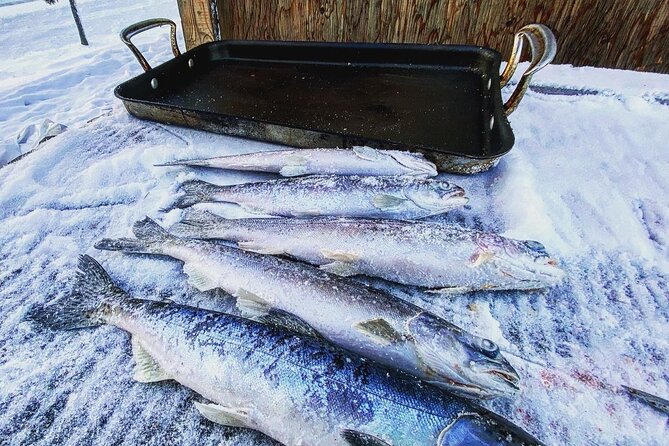 Quick and Easy Ice Fishing at Chena Lake - Is $159 a fair price for three hours?