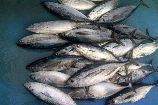 Racha Island Game Fishing & Trolling From Phuket - Boat comfort deserves careful attention