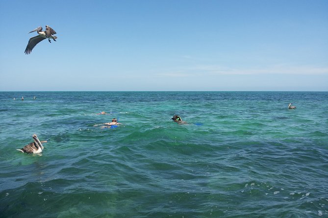 Relaxing private boat tour to Cabo Catoche with fishing - The beach walk and possible mangrove return