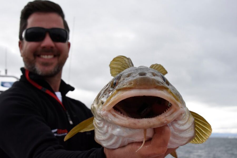 Reykjavik: 3-Hour Sea Angling Gourmet Experience Tour - The seafood lunch you help catch