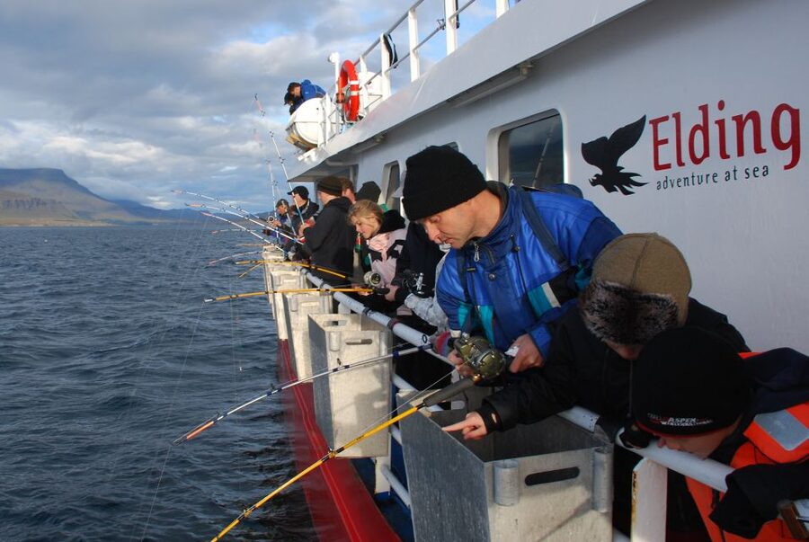 Reykjavik: 3-Hour Sea Angling Gourmet Experience Tour - Wildlife and views between fishing spots
