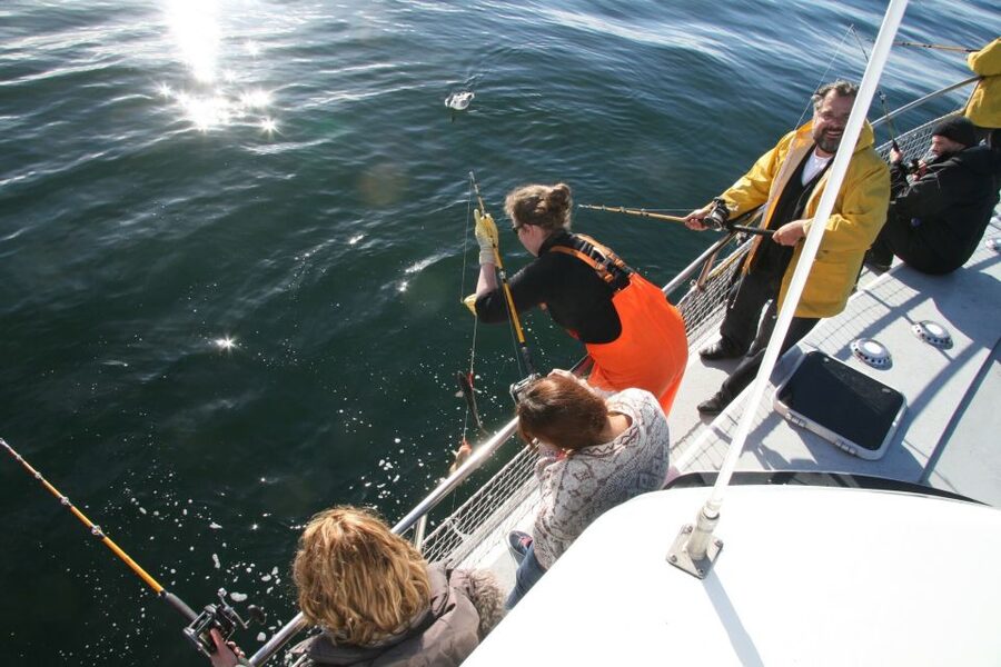 Reykjavik: 3-Hour Sea Angling Gourmet Experience Tour - Who will enjoy this boat trip most