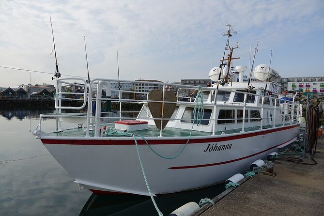 Reykjavik's Finest Catch: Guided Sea Angling Tour for All Levels - Sea views, islands, and changing weather