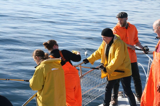 Reykjavik Sea Angling Gourmet - The crew, boat, and onboard comfort
