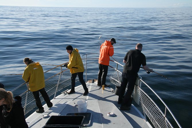 Reykjavik Sea Angling Gourmet - Weather, seasickness, and what to wear