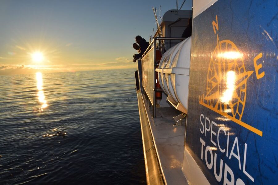 Reykjavik: Sea Fishing Boat Tour & BBQ with the Day's Catch - Key points to know before you book