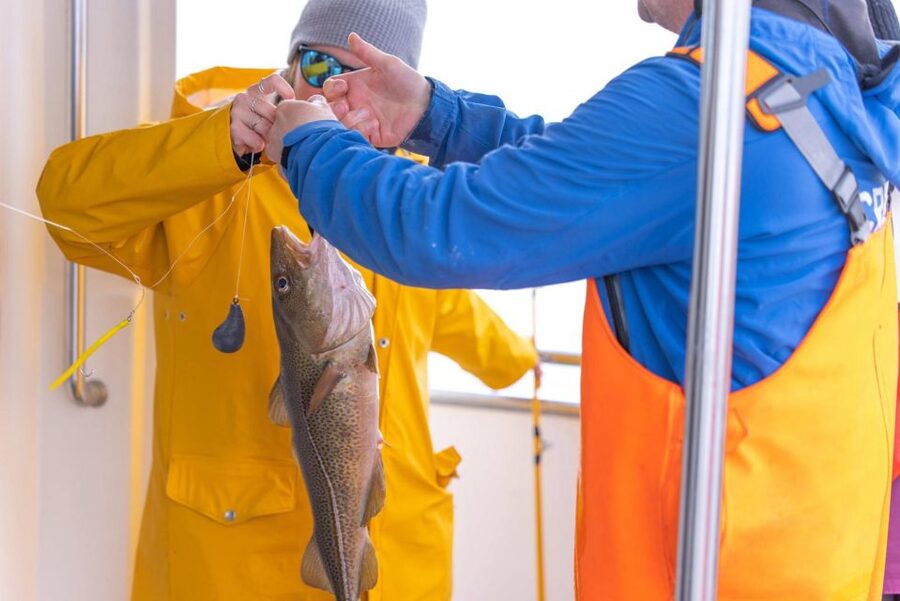 Reykjavik: Sea Fishing Boat Tour & BBQ with the Day's Catch - What the crew adds to the experience