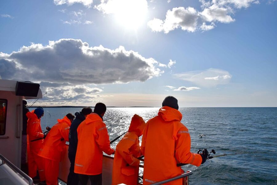 Reykjavik: Sea Fishing Boat Tour & BBQ with the Day's Catch - The onboard barbecue is the real payoff