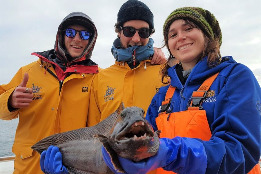 Reykjavik: Sea Fishing Boat Tour & BBQ with the Day's Catch - Weather, waves, and seasickness