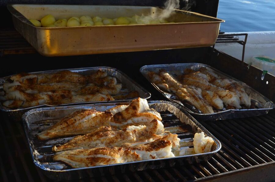 Reykjavik: Sea Fishing Boat Tour & BBQ with the Day's Catch - Wildlife and the view back to Reykjavik