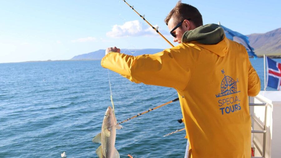 Reykjavik: Sea Fishing Boat Tour & BBQ with the Day's Catch - Is $141 a fair price?