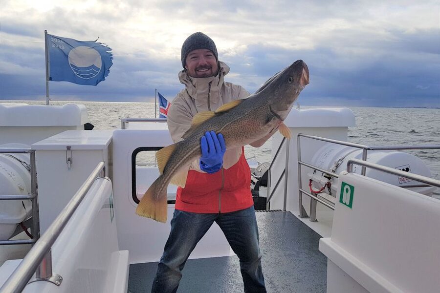 Reykjavik: Sea Fishing Boat Tour & BBQ with the Day's Catch - Who should book this Reykjavik fishing trip?