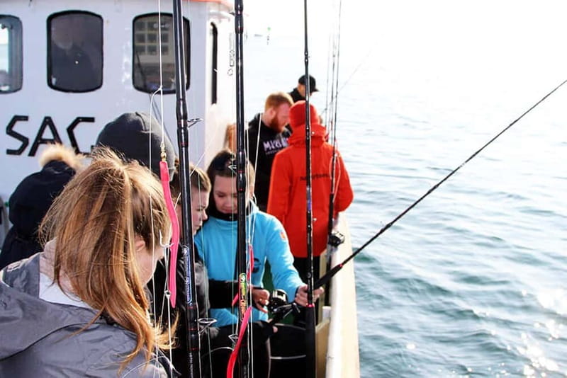 Reykjavik: Traditional Sea Fishing with BBQ Feast - Key points at a glance