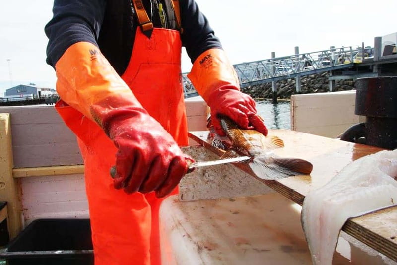 Reykjavik: Traditional Sea Fishing with BBQ Feast - A closer look at the crew and the boat