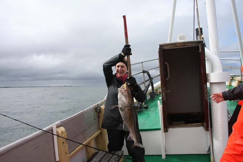 Reykjavik: Traditional Sea Fishing with BBQ Feast - Weather, comfort, and seasickness