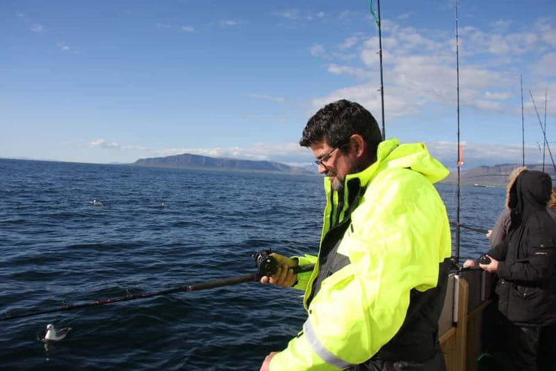 Reykjavik: Traditional Sea Fishing with BBQ Feast - Should you book it?