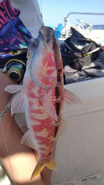 Rhodes: (4H/6H) Private Boat Fishing Trip with Equipment - Fishing spots, caves, and beaches along the coast