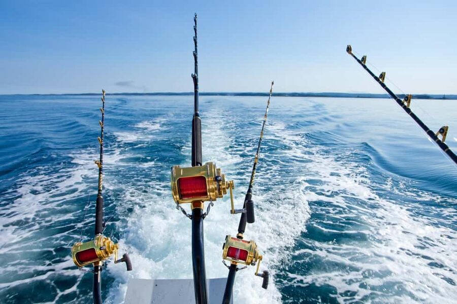 Rhodes: (4H/6H) Private Boat Fishing Trip with Equipment - Why the six-hour option may be worth it