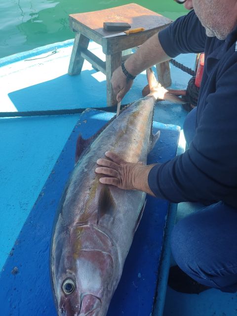 Rhodes Town: Fishing Boat Trip with Fish Meal and Swim Stops - The fishing stops and the changing views