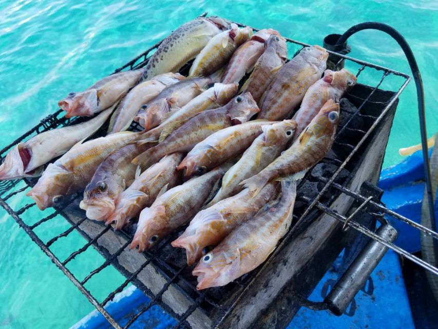 Rhodes Town: Fishing Boat Trip with Fish Meal and Swim Stops - Best for families, beginners, and food-focused visitors