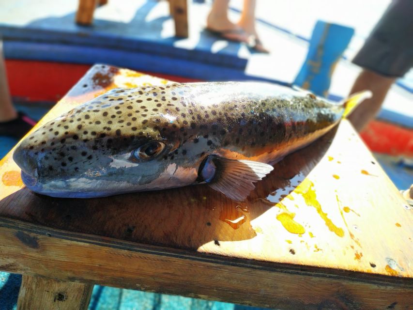 Rhodes Town: Fishing Boat Trip with Fish Meal and Swim Stops - Learning to fish, even if you have never tried