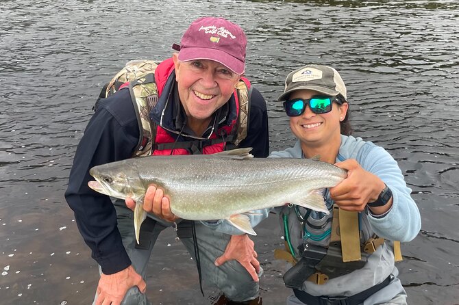 River Fishing and Bear Watching - Bear watching without a promise