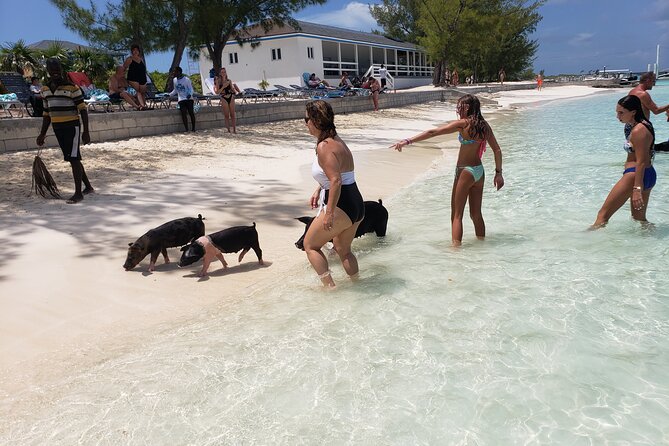 Rose Island: Private Snorkeling, Fishing, and Swimming with Pigs - Key points to know before booking