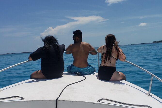 Rose Island: Private Snorkeling, Fishing, and Swimming with Pigs - What is included, and what you should bring