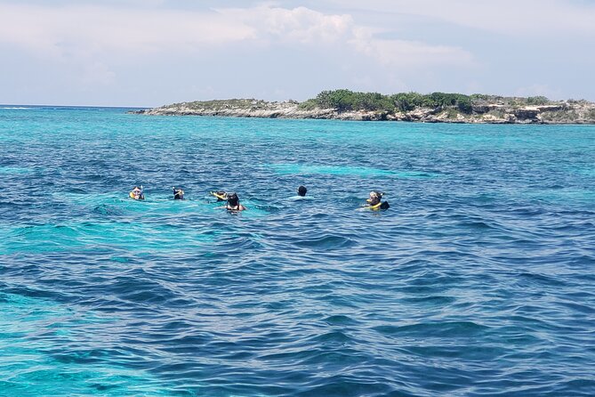 Rose Island: Private Snorkeling, Fishing, and Swimming with Pigs - Is $850 a fair price for four hours?