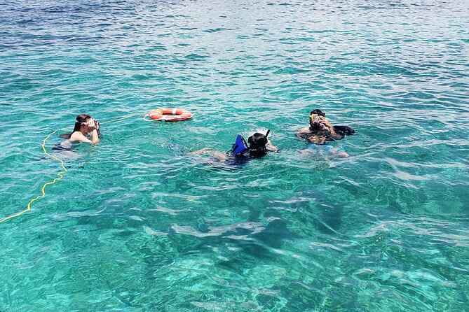 Rose Island: Private Snorkeling, Fishing, and Swimming with Pigs - Weather, timing, and practical details