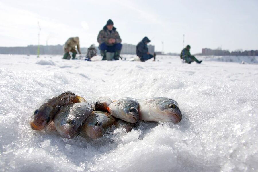 Rovaniemi: Arctic Circle Ice Fishing Experience - Is the natural ice safe enough?