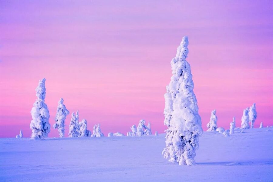 Rovaniemi: Half-Day Snowmobile & Ice Fishing Experience - Family rules and physical limitations