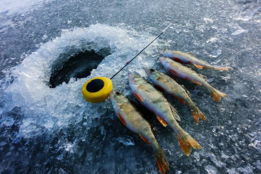 Rovaniemi: Quad Bike Ride and Ice Fishing - Is $281 a fair price?