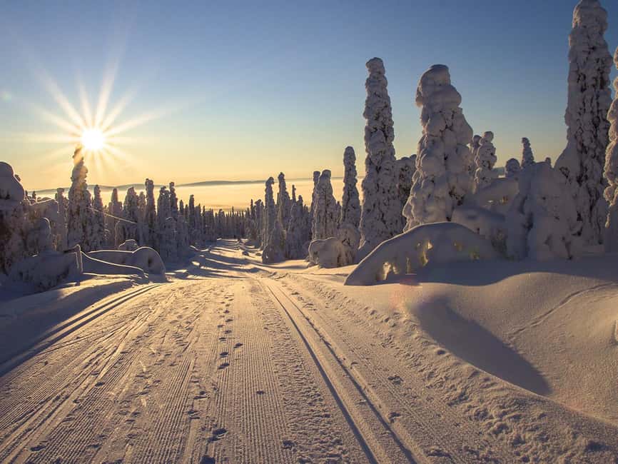 Rovaniemi: Snowshoeing, Ice Fishing and Salmon in Kota - A frozen lake and the patience of ice fishing