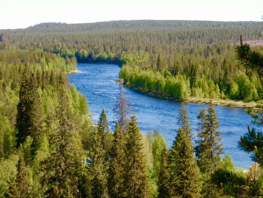 Rovaniemi: Summer & Autumn Fishing Tour in Lapland & BBQ - Should you book this Lapland fishing experience?