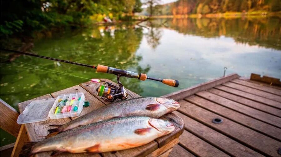 Rovaniemi: Summer & Autumn Fishing Tour in Lapland & BBQ - Who will enjoy this Rovaniemi fishing tour