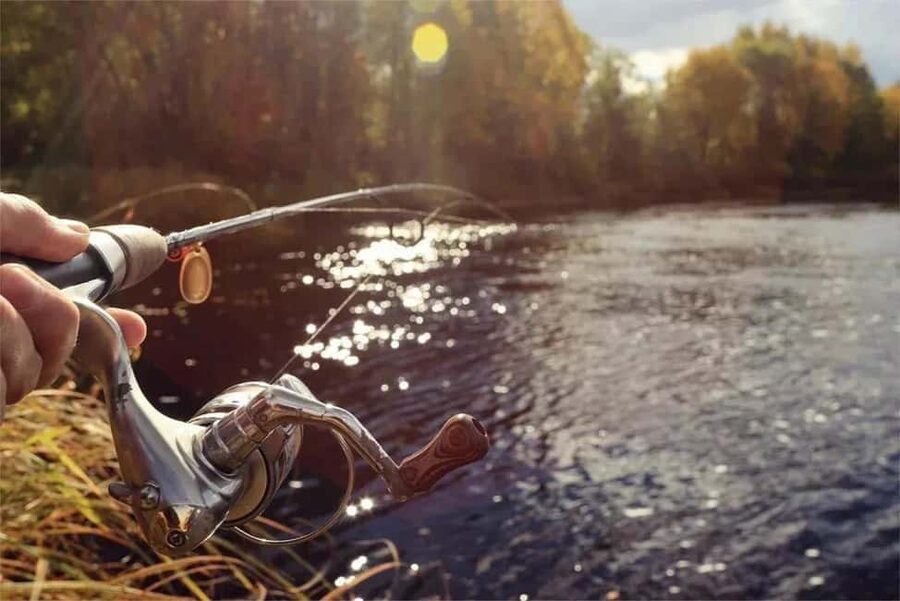 Rovaniemi: Summer & Autumn Fishing Tour in Lapland & BBQ - Booking details that affect your plans