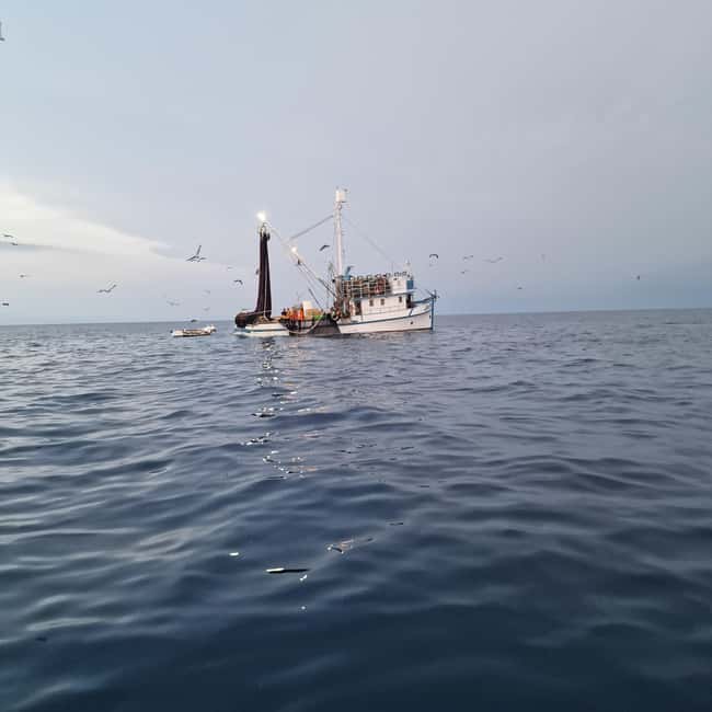 Rovinj fishing tour with boat - Fishing With Equipment and Hands-On Help
