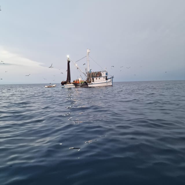 Rovinj fishing tour with boat - Should You Book the Rovinj Fishing Tour?